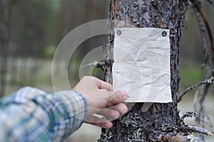 An announcement, a letter, a message on a tree in the forest.