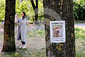 Announcement about the loss of a puppy on a tree. In the background, a woman hangs a poster about a lost dog