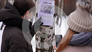 Announcement about lost dog on tree with teen friends calling number standing on winter day outdoors. Shooting over