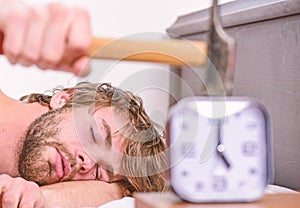 Annoying ringing alarm clock. Man bearded annoyed sleepy face lay pillow near alarm clock. Guy knocking with hammer