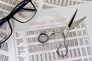 Annual company or family budget