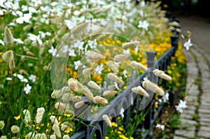 Annual flowerbed in the shape of an arch with purple and white yellow flowers bordered by a low fence of metal gray fittings. land