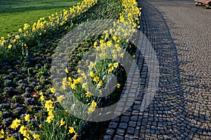Annual flowerbed in the shape of an arch with purple and white yellow flowers bordered by a low fence of metal gray fittings. land