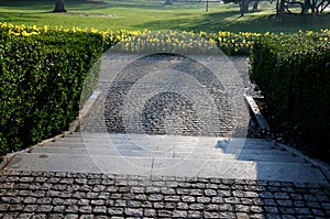 Annual flowerbed in the shape of an arch with purple and white yellow flowers bordered by a low fence of metal gray fittings. land