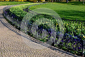 Annual flowerbed with yellow and blue flowers bordered by a low fence of metal gray fittings. landscaping in summer with tulips