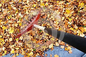 Annual Garden Chore photo