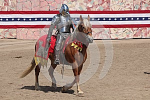 International Jousting Competition