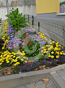 Annual representational flower bed in front of the office or school in the square. concrete paving and salting against dogs and th