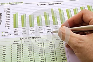 Annual Sales Report