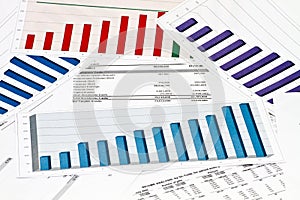 Annual statement raport on charts and graphs