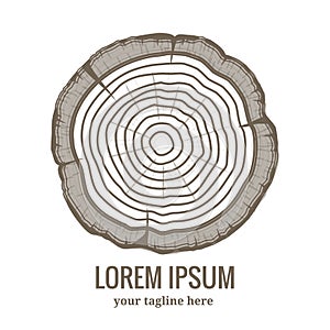 Annual tree growth rings logo icon