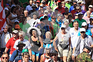 An annually recurring large walking event,