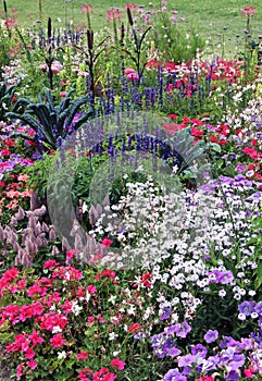 A lushly blooming garden bed with annuals photo