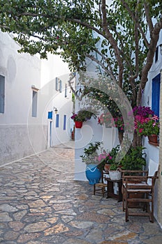 Ano Koufonisi island, Greece. Building,  tree,  blooming flower in pot, empty street. Vertical