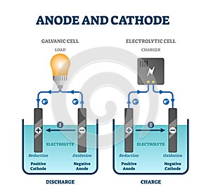 Anode and cathode scientific physics education diagram, vector illustration labeled scheme