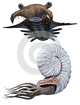 Anomalocaris and Ammonite set