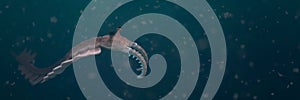 Anomalocaris, creature of the Cambrian period 3d science illustration banner