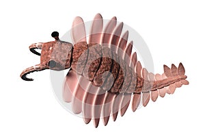 Anomalocaris, creature of the Cambrian period, top view, isolated on white background 3d science illustration