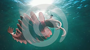 Anomalocaris, life form of the Cambrian period 3d science illustration