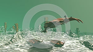 Anomalocaris and trilobites in the sea