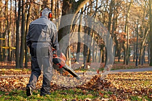 Anonymous man wearing earmuffs using leaf blower, while working outdoors.