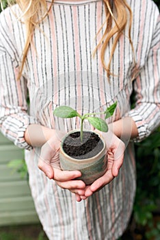 Anonymous young girl holding plant