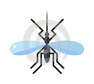 Anopheles mosquito vector illustration photo