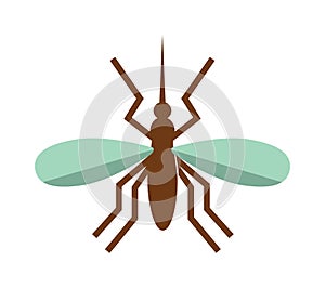 Anopheles mosquito vector illustration photo