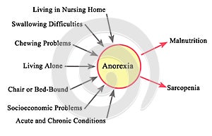 Anorexia