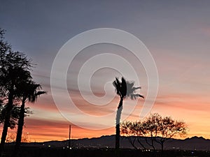 Another Beautiful Sunset Over the Palm Trees!