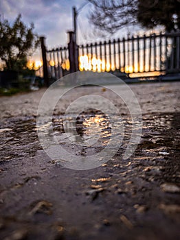 Another perspective of a puddle