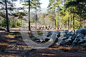 Another view of the nine stone circles of Hunn