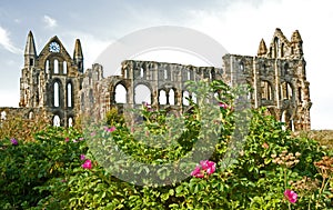 Another view of Whitby Abbey.