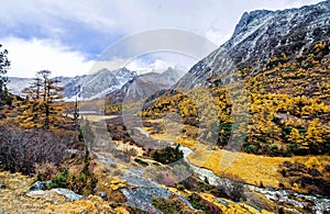 Another View of yading Scenic Area,sichuan photo