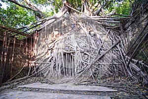 The Anping Tree House is a former warehouse in Anping District,