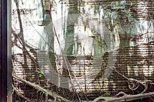 Anping Tree House. This old warehouse is covered by branched of ancient Banyan Tree branch which is