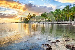 Anse Chamapgne photo