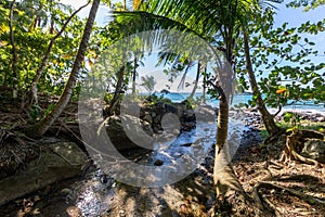 Anse Couleuvre beach - Le Precheur, Martinique photo