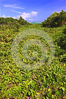 Anse de Sables Beach - Saint Lucia
