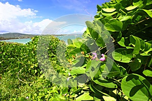 Anse de Sables Beach - Saint Lucia