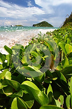 Anse de Sables Beach - St Lucia