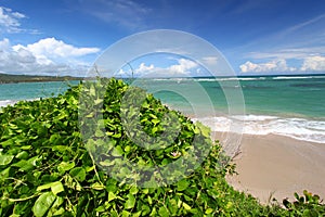 Anse de Sables Beach - St Lucia