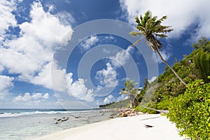 Anse Fourmis, La Digue, Seychelles