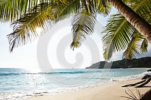 Anse Intendance, Mahe Island, Seychelles photo