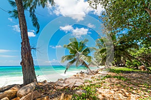 Anse Kerlan beach under a blue sky