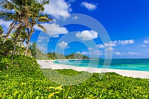 Anse Kerlan - Tropical beach in Seychelles, Praslin