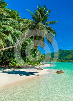 Anse a La Mouche - Paradise beach in Seychelles, Mahe