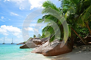 Anse Lazio beach in the island Praslin, Seychelles.