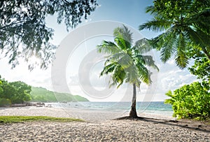 Anse Lazio beach, Praslin island