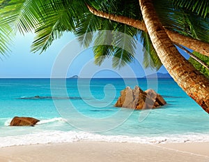 Plage Op insel Seychellen 